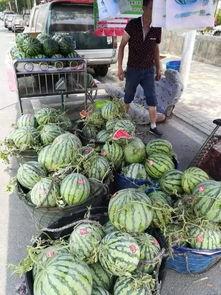 利川来风吃瓜事件视频,一场网络热议的真相揭秘